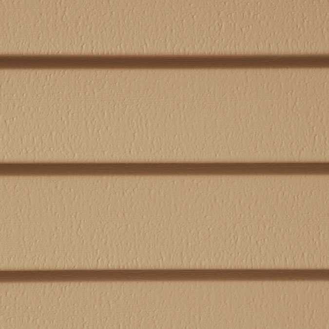 Buckskin color swatch