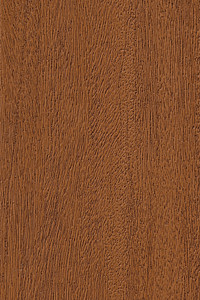 Robert Jackson Windows & Siding Images