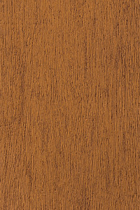 Robert Jackson Windows & Siding Images
